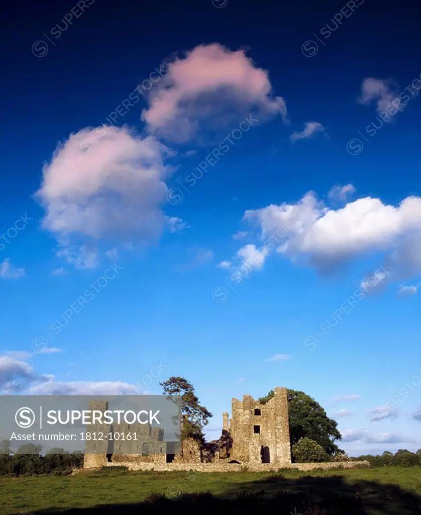 Bective Abbey, Co Meath, Ireland, 12th Century Cistercian abbey