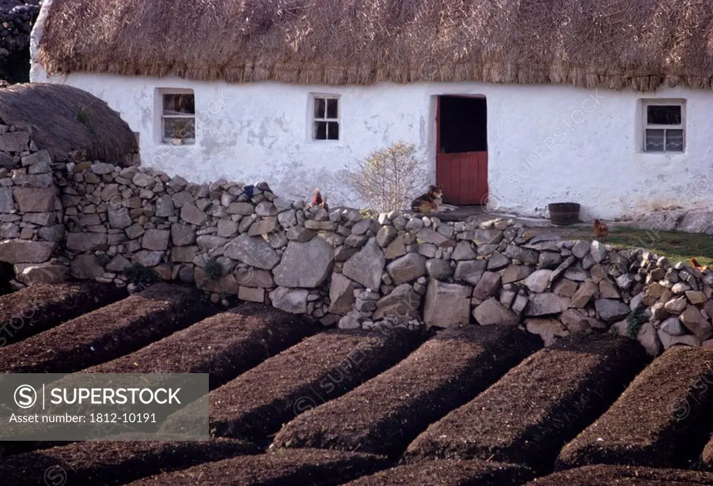 Connemara, Co Galway, Ireland, Traditional cottage and farming