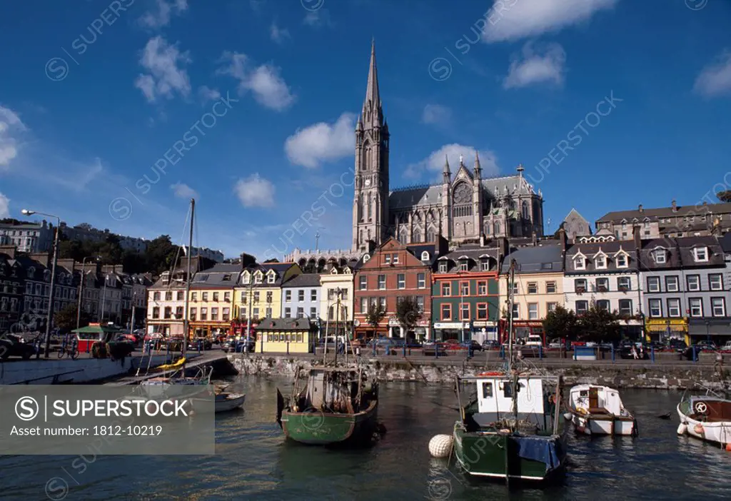 Cobh, Co Cork, Ireland, View of fishing boats in harbour with a view of St. Colmans Cathedral