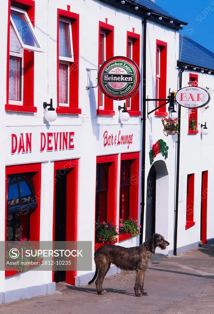 Dan Devine, Dunfanaghy, Co Donegal, Ireland, Dog standing outside traditional Irish pub
