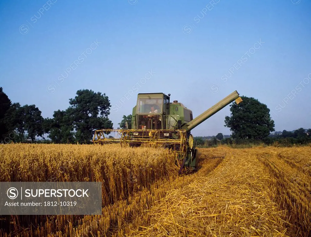 Combine Harvester, Oats,