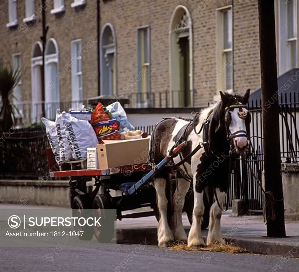 Traditional Horse & Cart, Rathmines, Dublin, Ireland