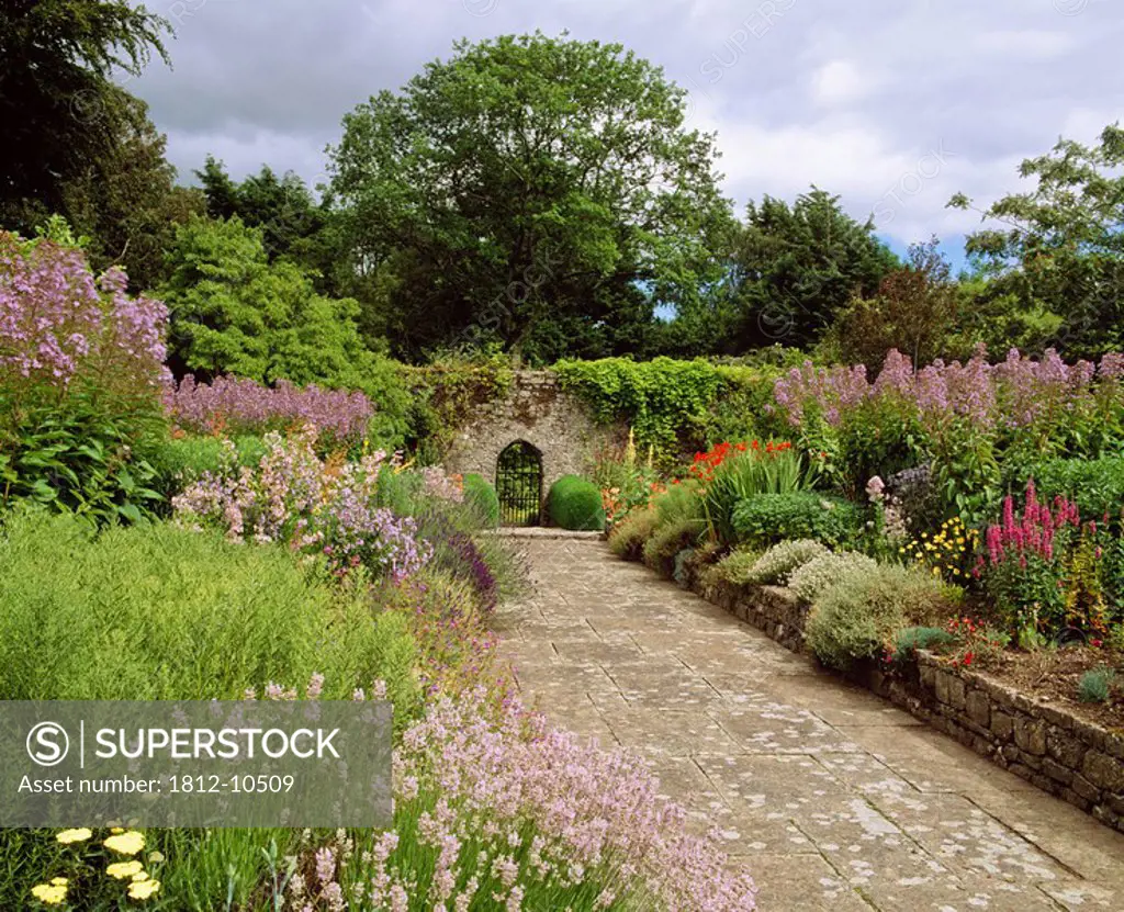 Double Herbacious Border, Walled Garden, Ardsallagh, Co Tipperary, Ireland