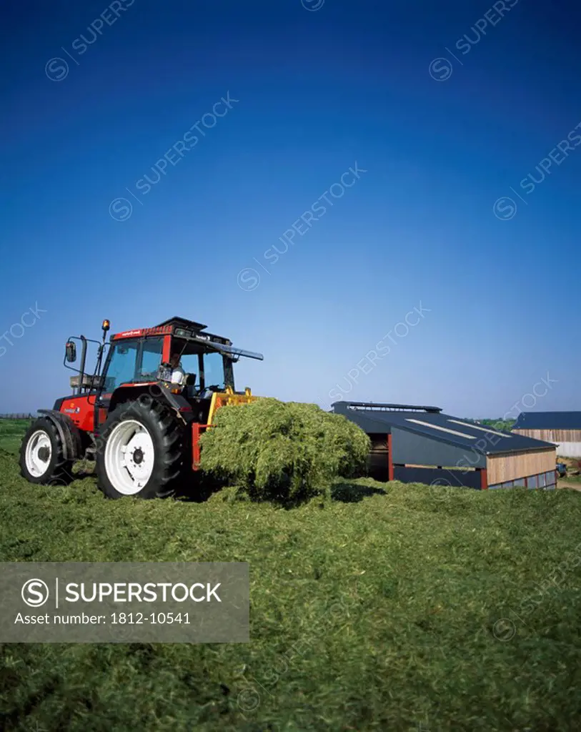 Silage Making,