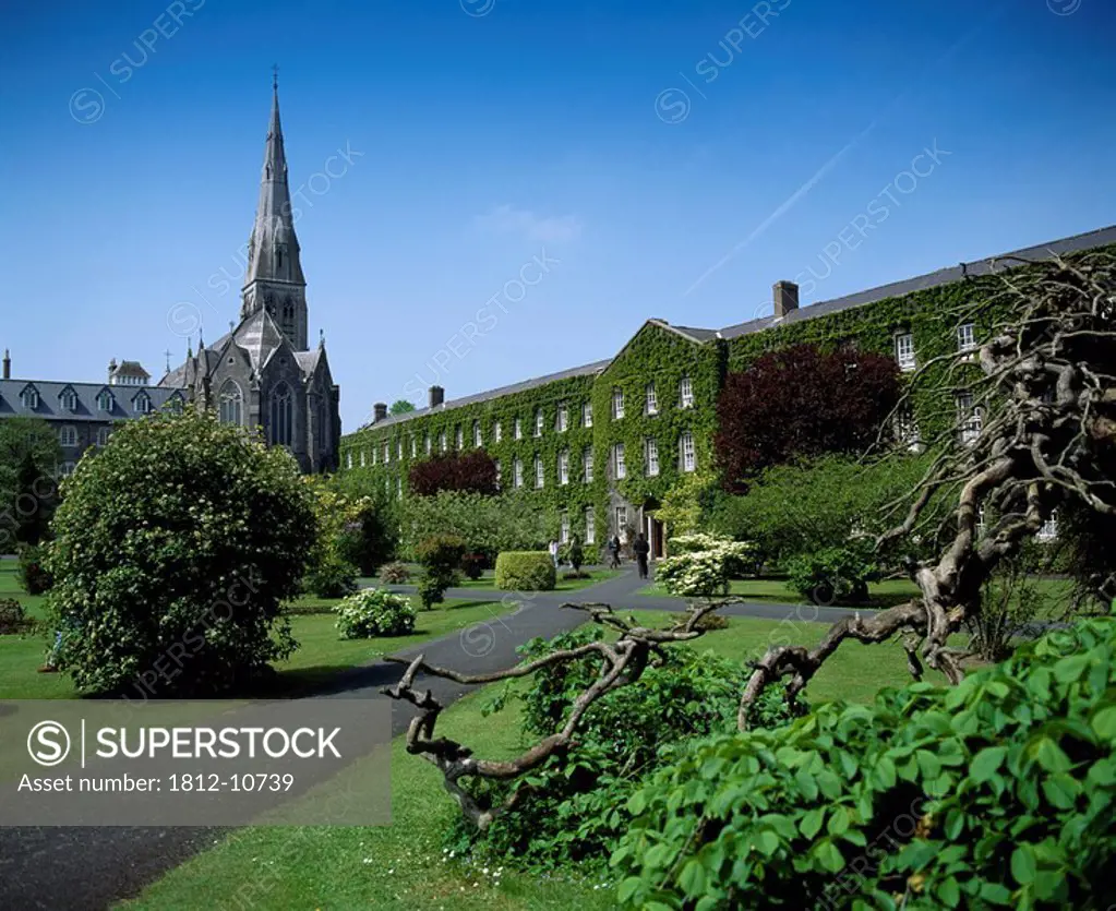 The New House College Chapel and St. Joseph´s Square,Maynooth College,Co Kildare,Ireland,Path leading to ivy covered building
