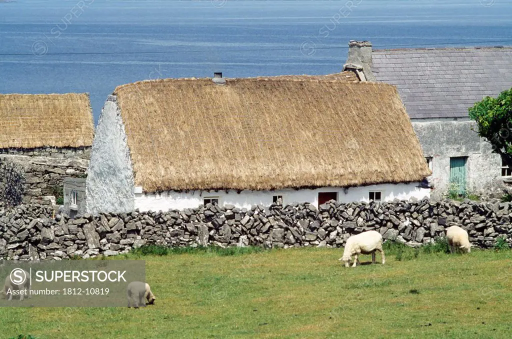 Traditional Thatched Cottages, Aran Islands, Inishmore,