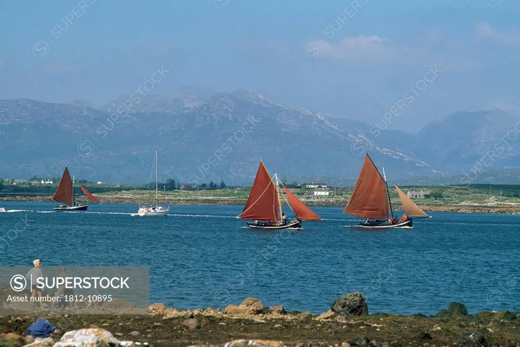 Roundstone Regatta and Galway Hooker sailboats, County Galway, Ireland