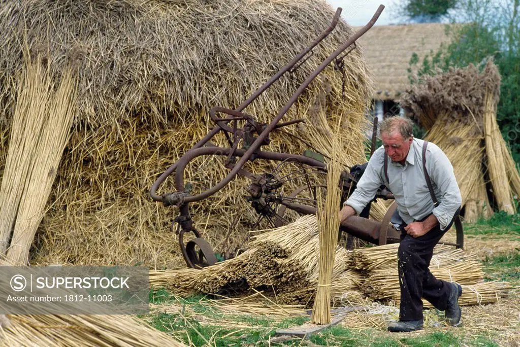 Traditional thatching, Bunratty, County Clare, Ireland