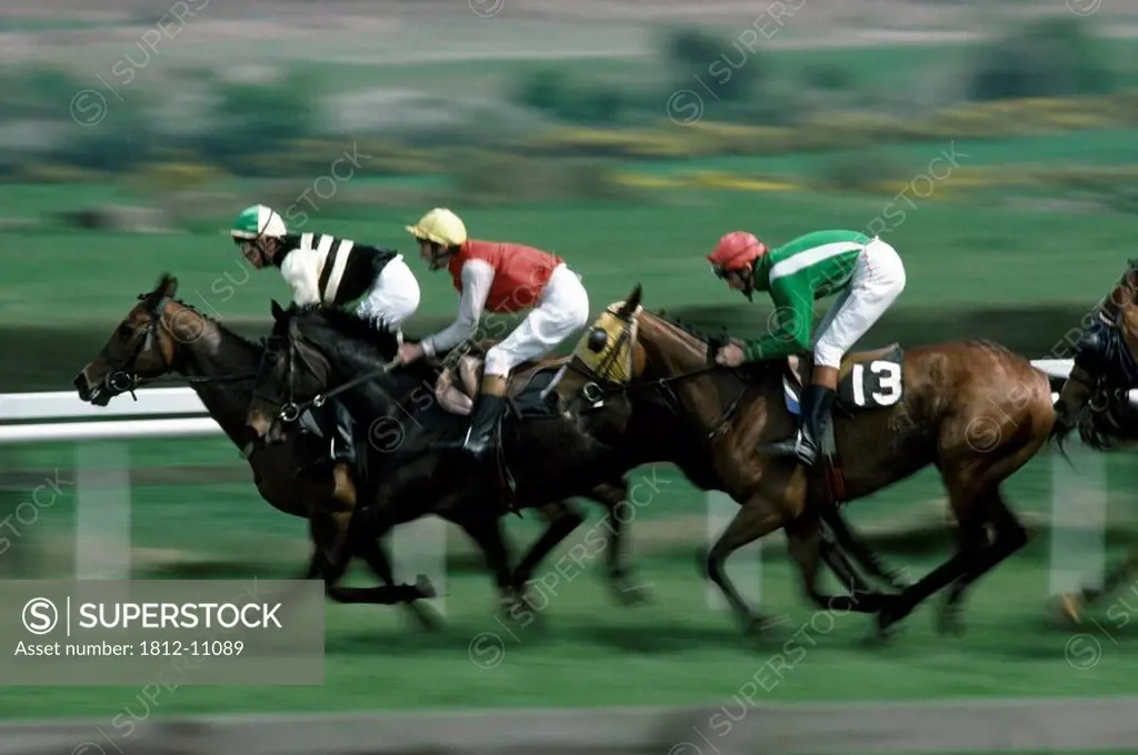 National Hunt Racing, Punchestown Racecourse, County Kildare, Ireland