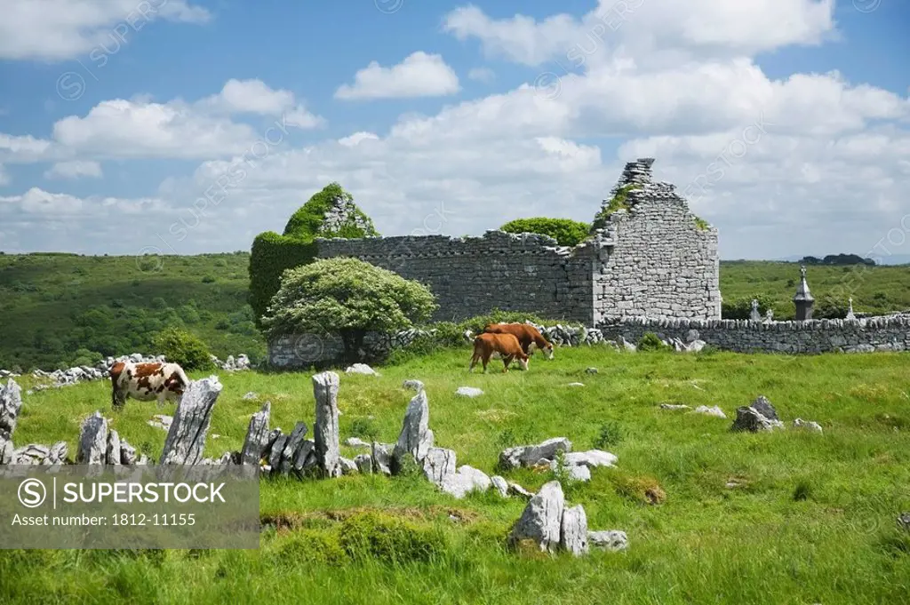 Ruins of Carron Church, Carran, County Clare, Ireland