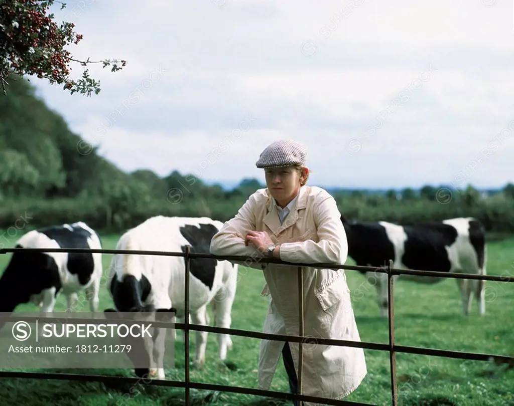 Farmer With Friesian Cows and Heifers, Ireland