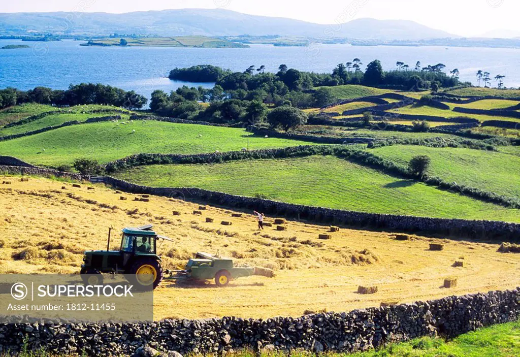 Hay Making, Lough Corrib, Co Galway, Ireland
