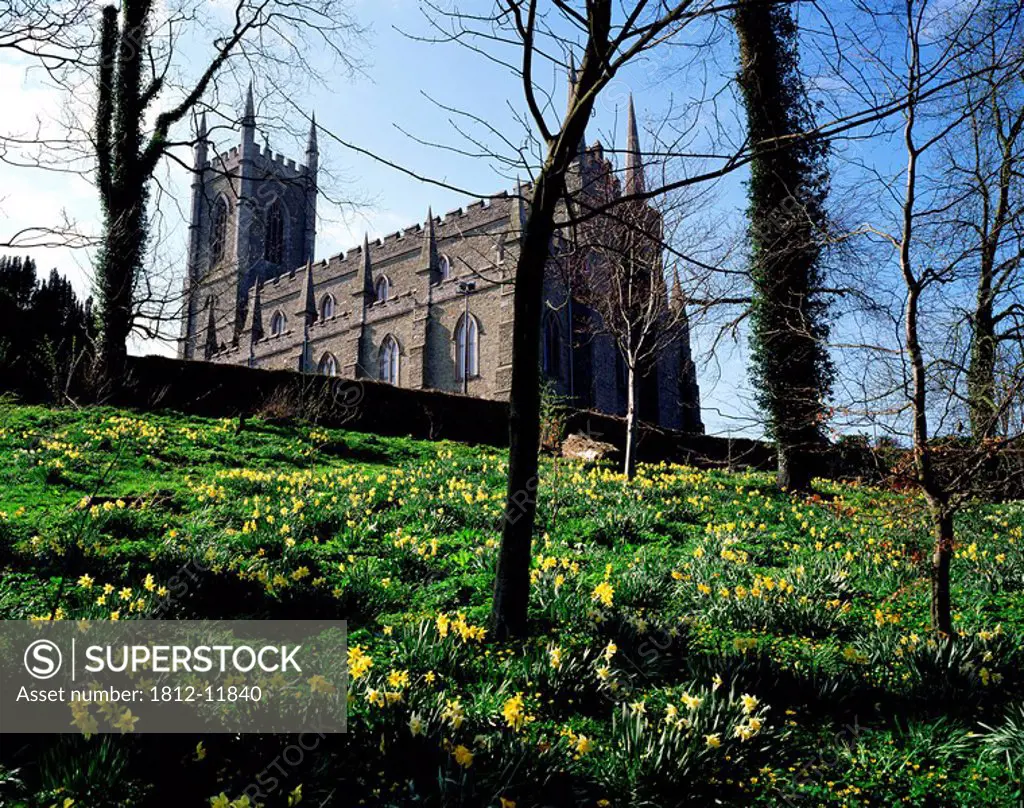Low Angle View Of A Cathedral, Down Cathedral, Downpatrick, County Down, Northern Ireland