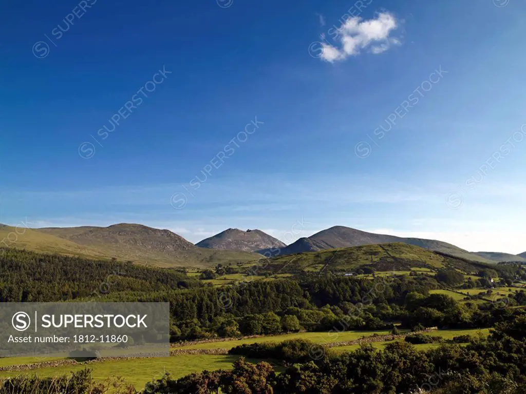 High Angle View Of A Trees On A Rolling Landscape, Mourne Mountains, County Down, Northern Ireland