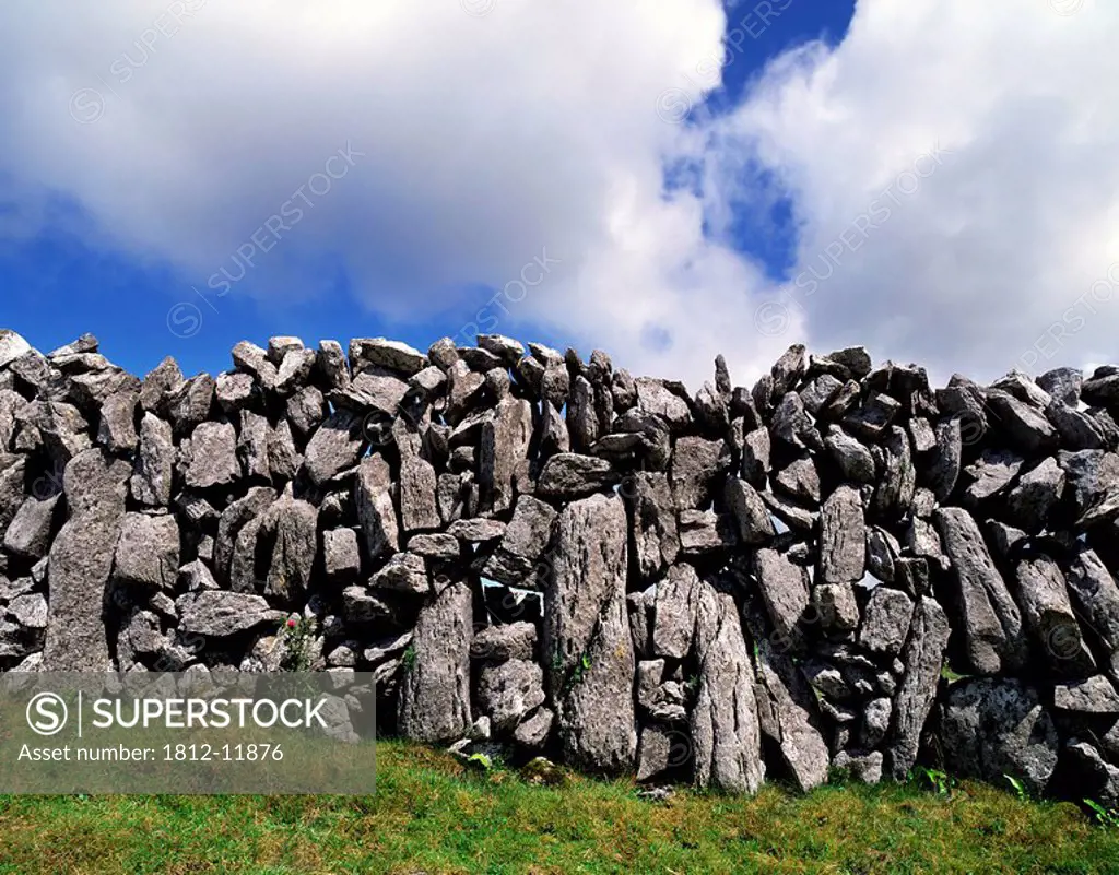 Grass In Front Of A Stone Wall, The Burren, County Clare, Republic Of Ireland
