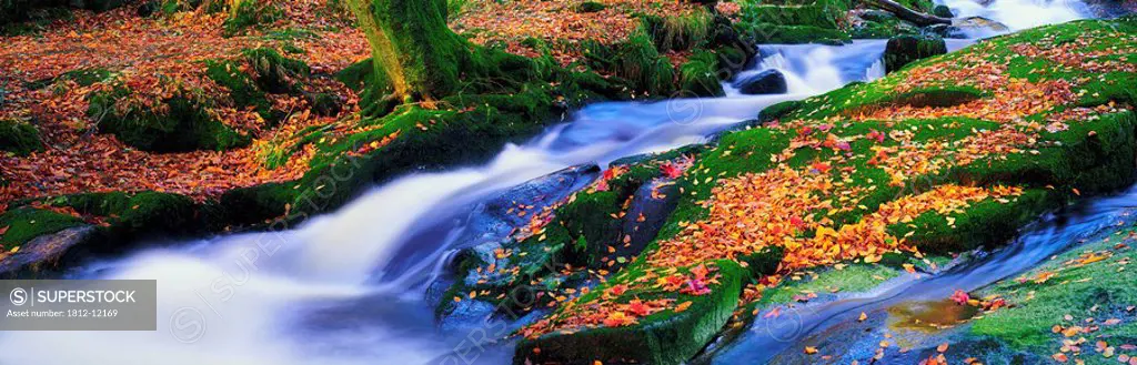 Glenmacnass Waterfall, Co Wicklow, Ireland