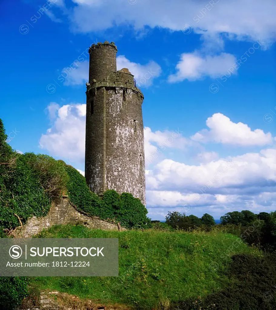 Round Towers, Tower At Ballyfin, Co Laois