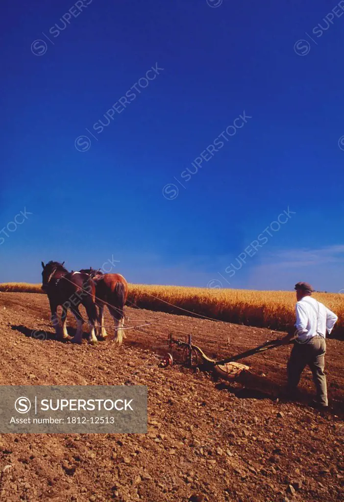 County Louth, Ireland, Traditional Ploughing At The Cooley Fair