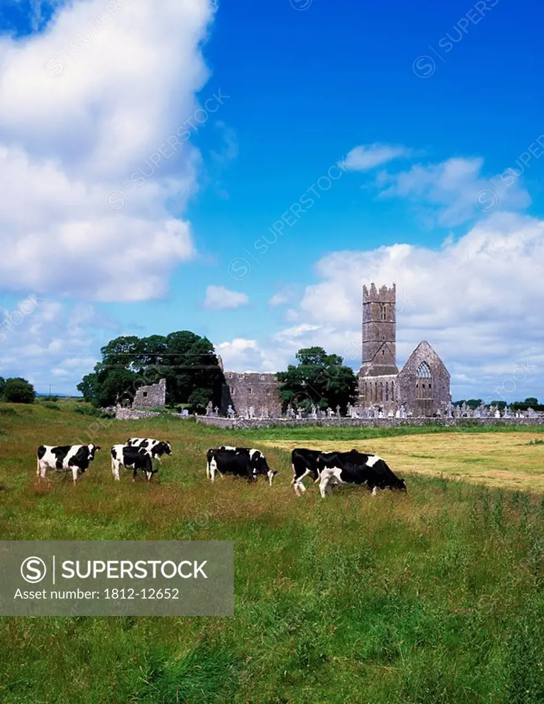 13Th C. Franciscan Abbey, Claregalway, Co Galway, Ireland