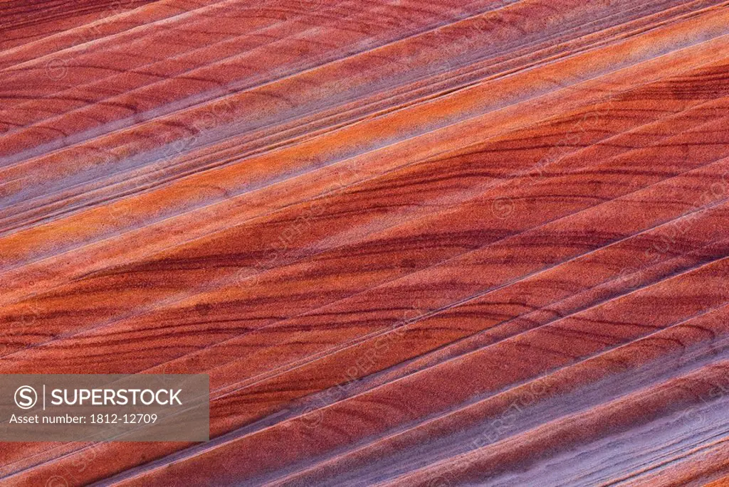 The Wave, Coyote Buttes, Page, Arizona, Usa, Close_Up Of Rock Formation