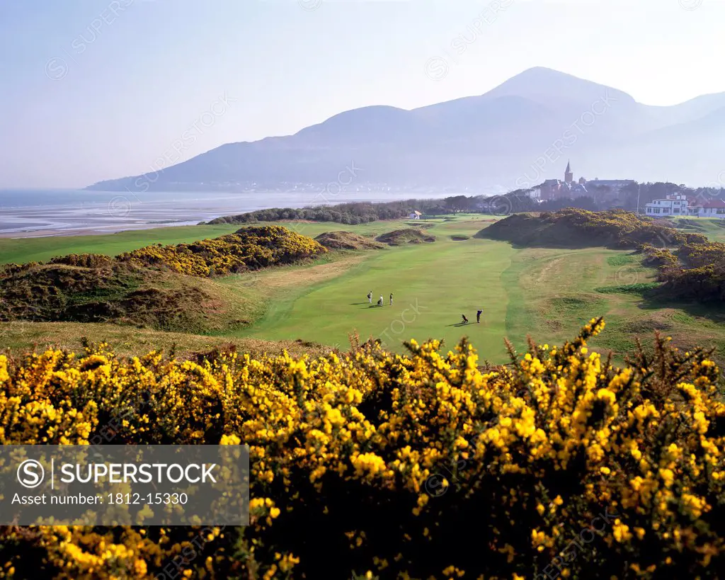 High Angle View Of A Golf Course, Royal County Down Golf Club, Newcastle, County Down, Northern Ireland