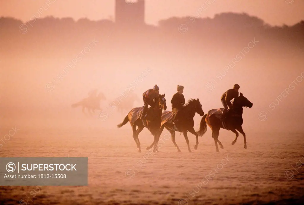 Five People Riding Thoroughbred Horses In A Field, Curragh, County Kildare, Republic Of Ireland