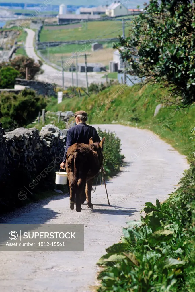 Rear View Of A Farmer Walking With A Donkey On The Road, Inishbofin, County Galway, Republic Of Ireland