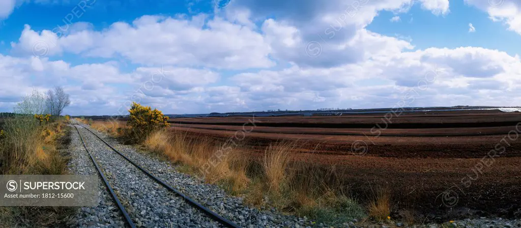 Narrow Gauge Railroad Track Passing Through A Landscape, Blackwater Bog, Co. Offaly, Ireland