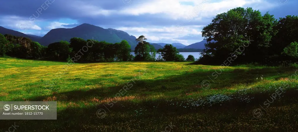 Muckross Lake, Killarney National Park, Co Kerry, Ireland