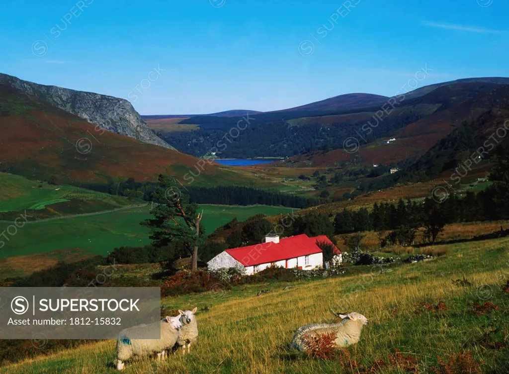 Traditional Cottages, Near Lough Tay, Co Wicklow