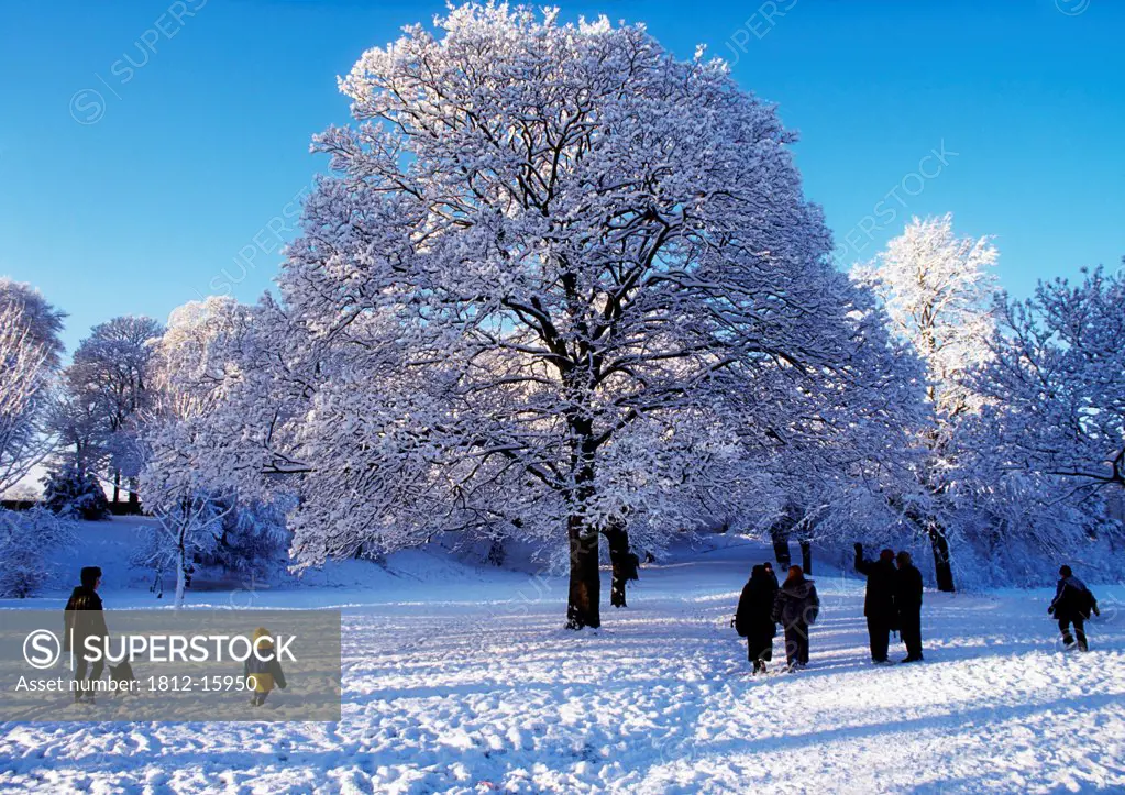 Winter Scene In Ormeau Park, Belfast, Ireland