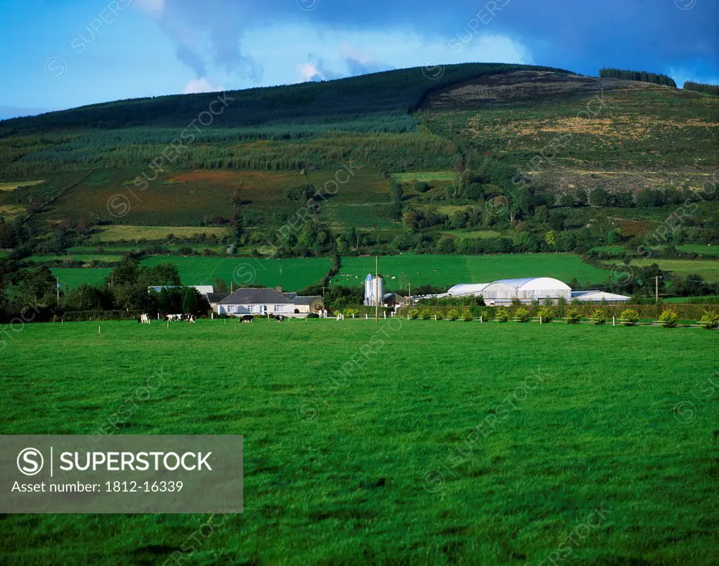 Farmscape, With Slievenamon, Co Tipperary