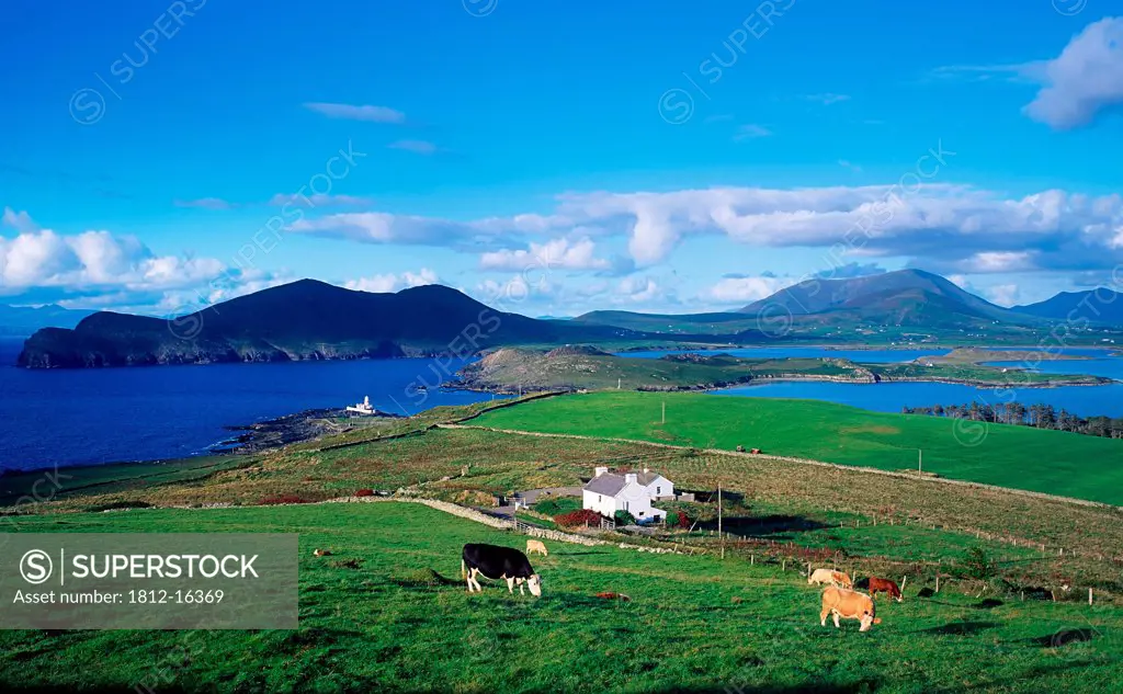 Valentia Island Ring Of Kerry, Co Kerry, Ireland