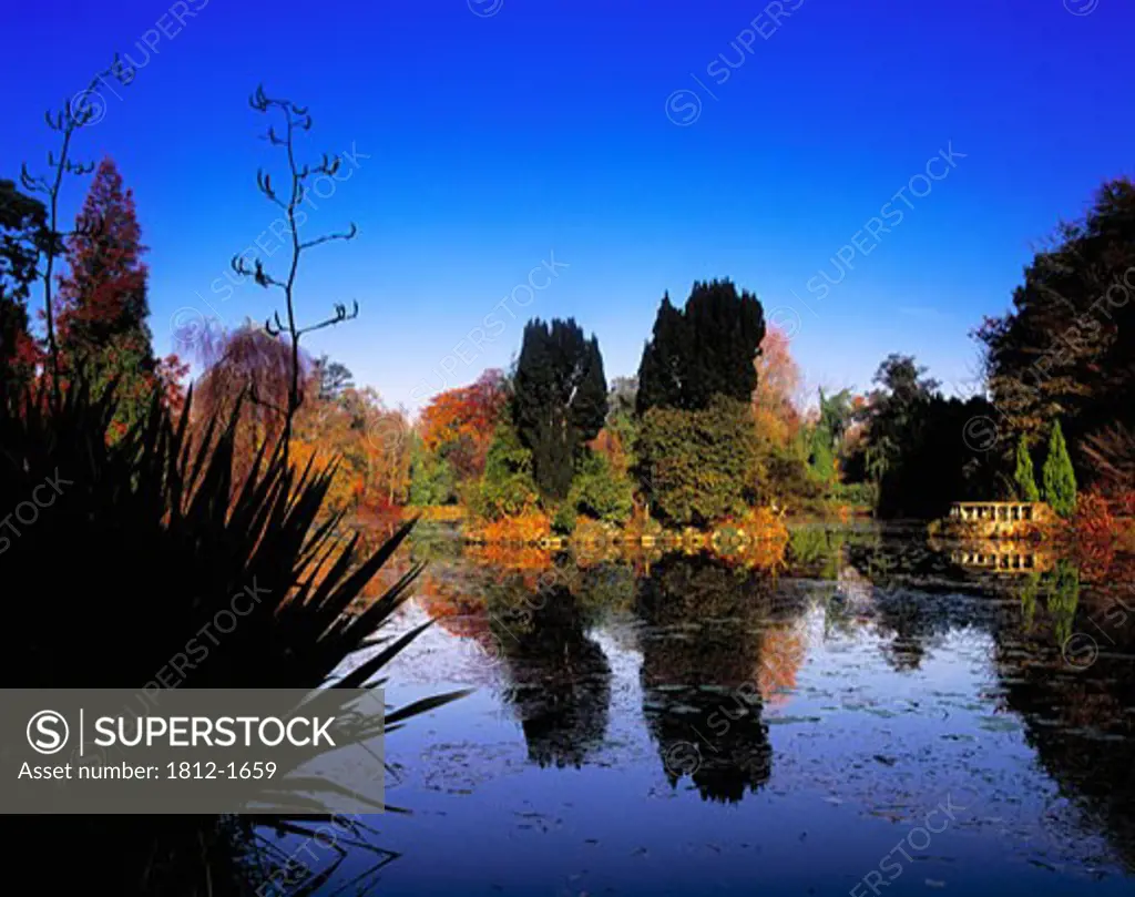 The Lake, Altamont Garden, Co Carlow, Ireland