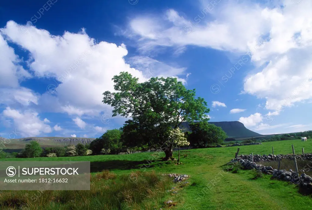 Benbulben, County Sligo, Ireland; Rock Formation In Scenic Landscape
