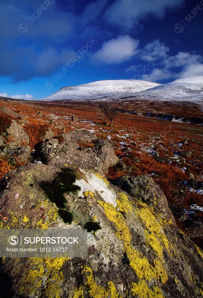 Nire Valley, County Waterford, Ireland; Lichens On Rock