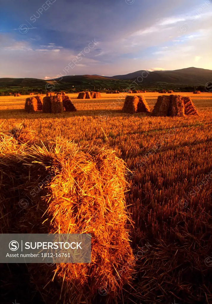 Newcastle, County Tipperary, Ireland; Farmland With Hay Bales