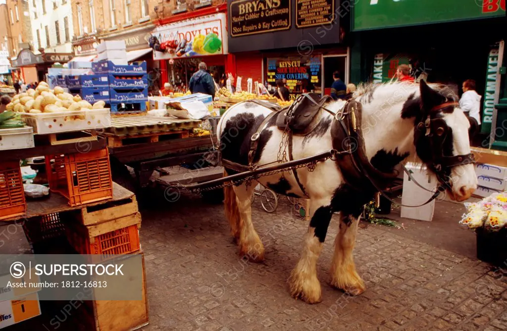Moore Street, Dublin, Ireland; Horse-Drawn Cart