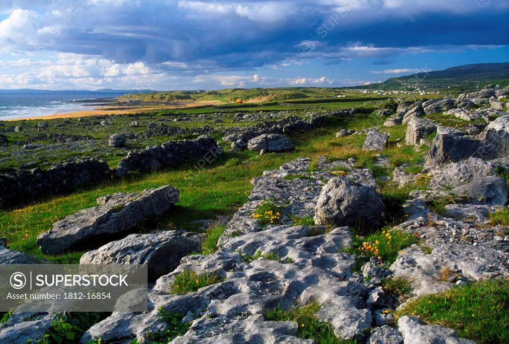 The Burren, County Clare, Ireland; Rocky Landscape