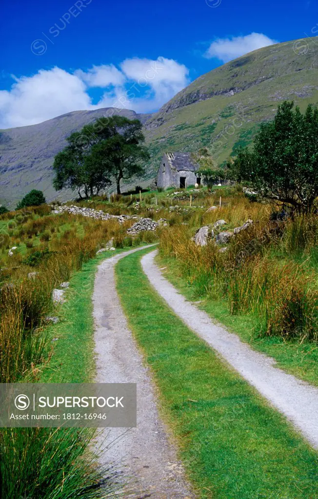 Black Valley, Killarney National Park, County Kerry, Ireland; Boreen In Park
