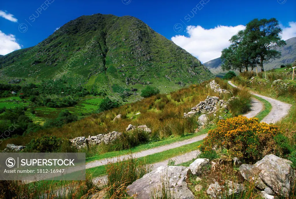 Broaghabinnia Mountain, Black Valley, Killarney National Park, County Kerry, Ireland; Boreen In Park