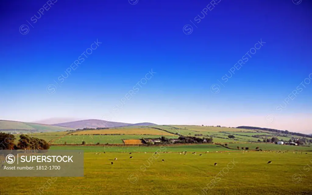 Pastoral View, Near Brittas, Co Wicklow, Ireland