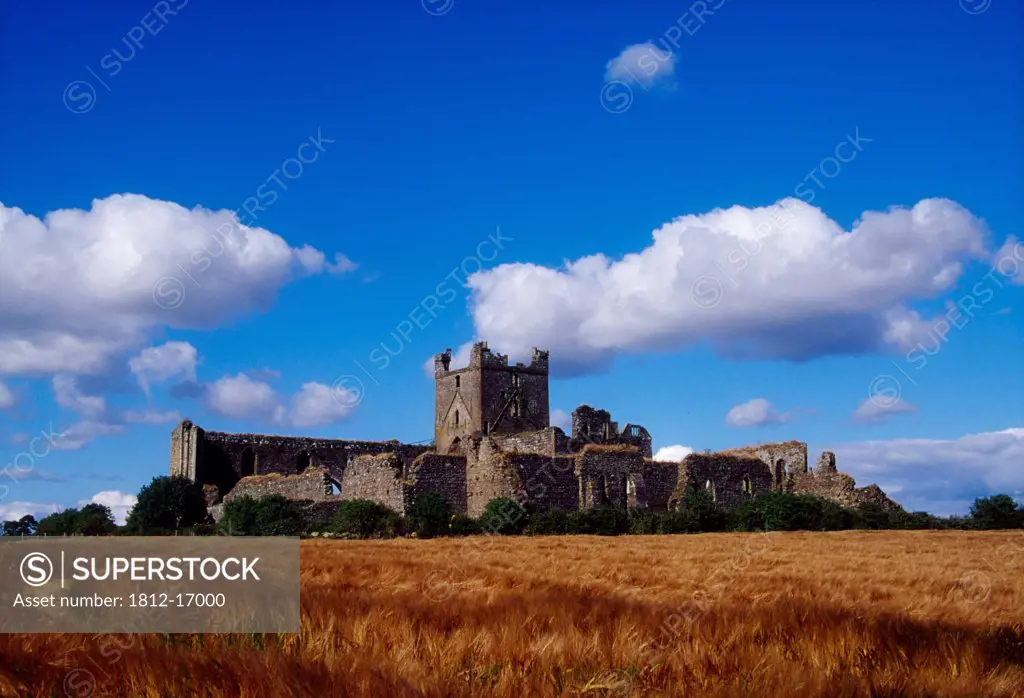 Dunbrody Abbey, County Wexford, Ireland; Historic Abbey