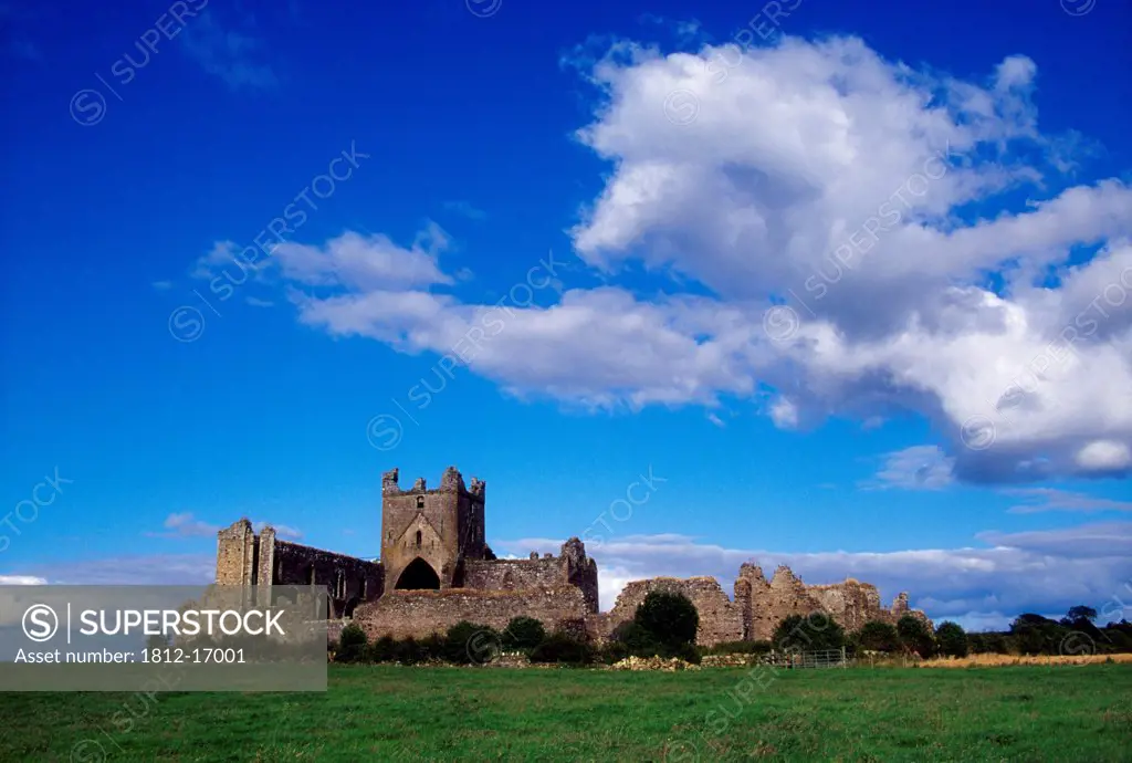 Dunbrody Abbey, County Wexford, Ireland; Historic Abbey