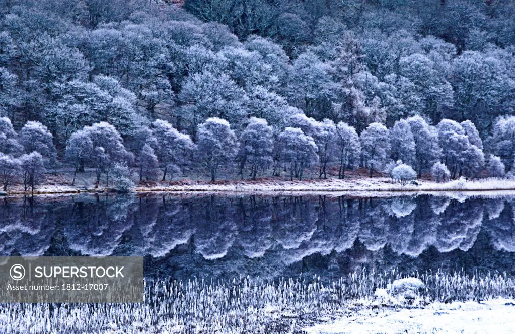 Glendalough National Park, County Wicklow, Ireland; Winter Lake With Hoar Frost