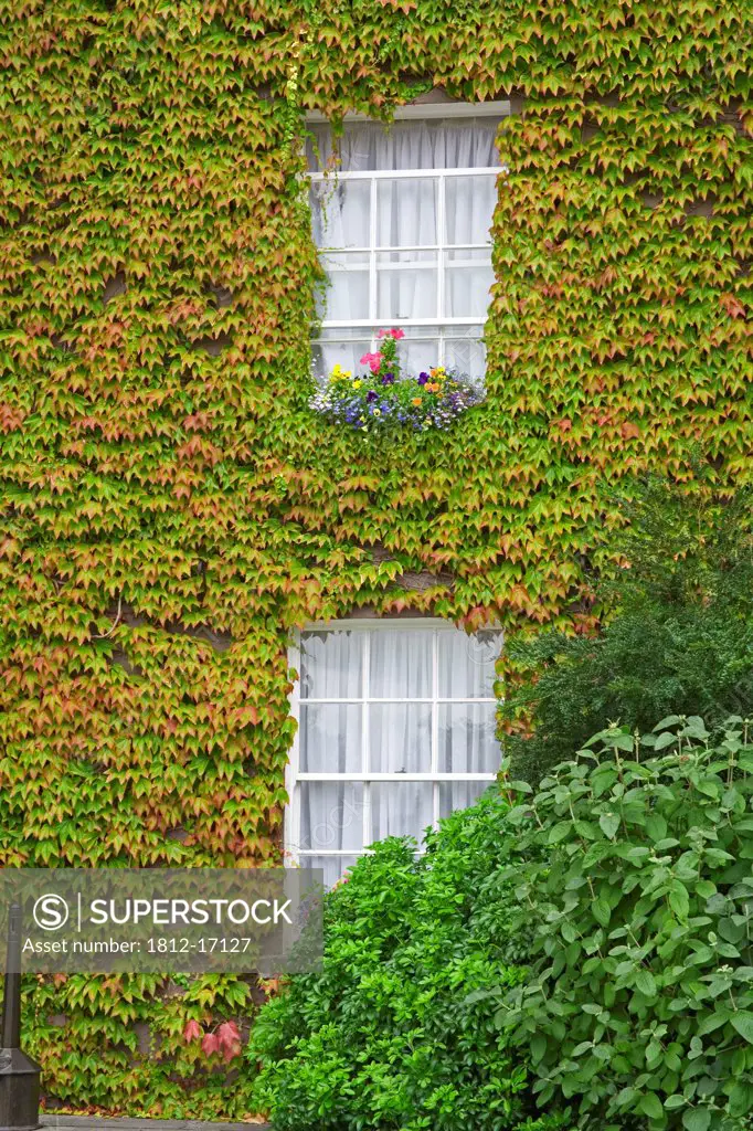 Butler House, Kilkenny City, County Kilkenny, Ireland; Ivy Covered Historic Guesthouse