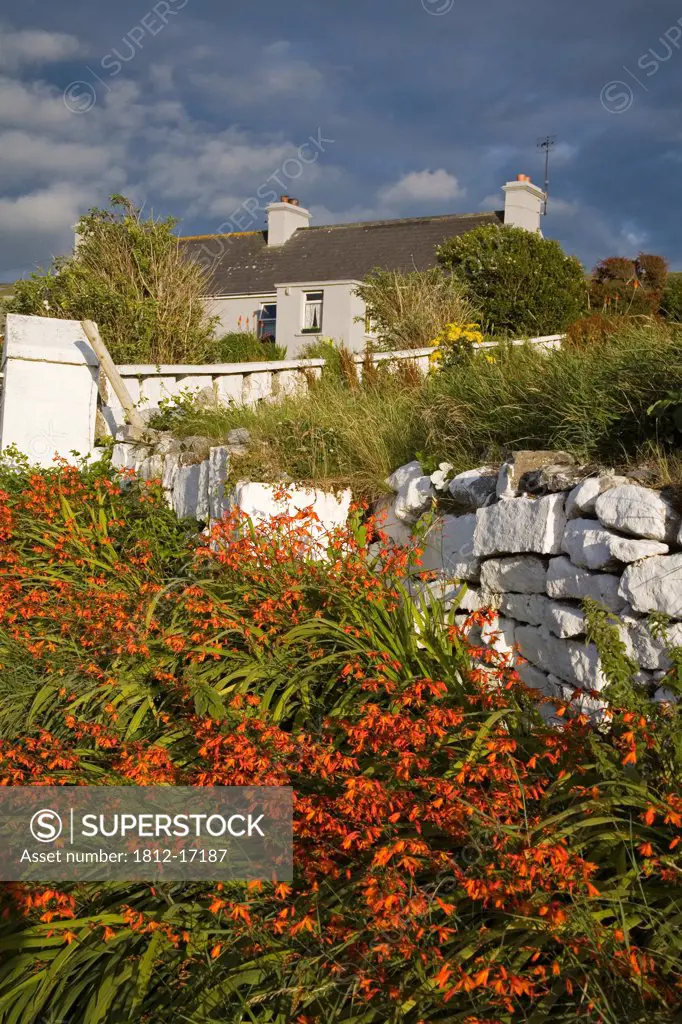 Fanore, County Clare, Ireland; Farmhouse And Garden
