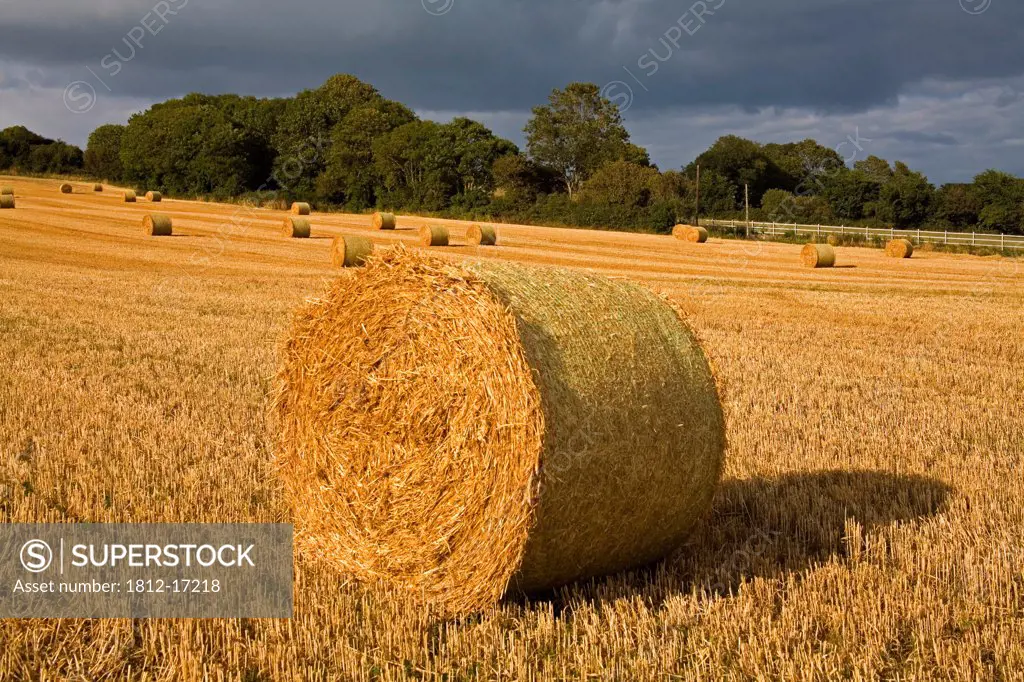 Ardmore, County Waterford, Ireland; Bale Of Hay In Field