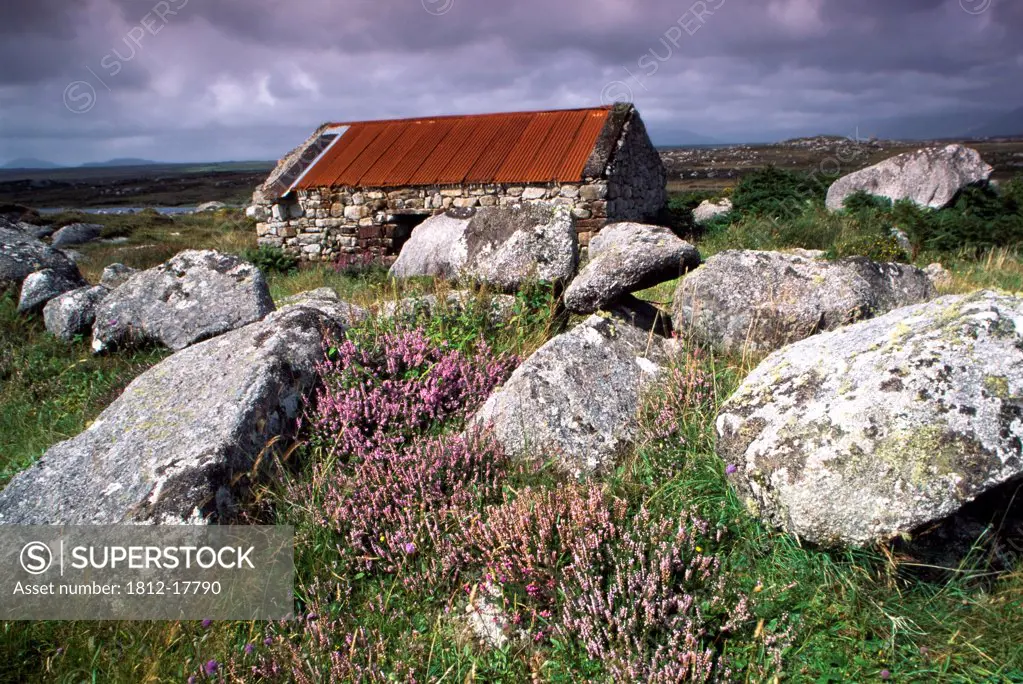 Rosmuc, County Galway, Ireland; Irish Rustic Cottage In Field Of Boulders