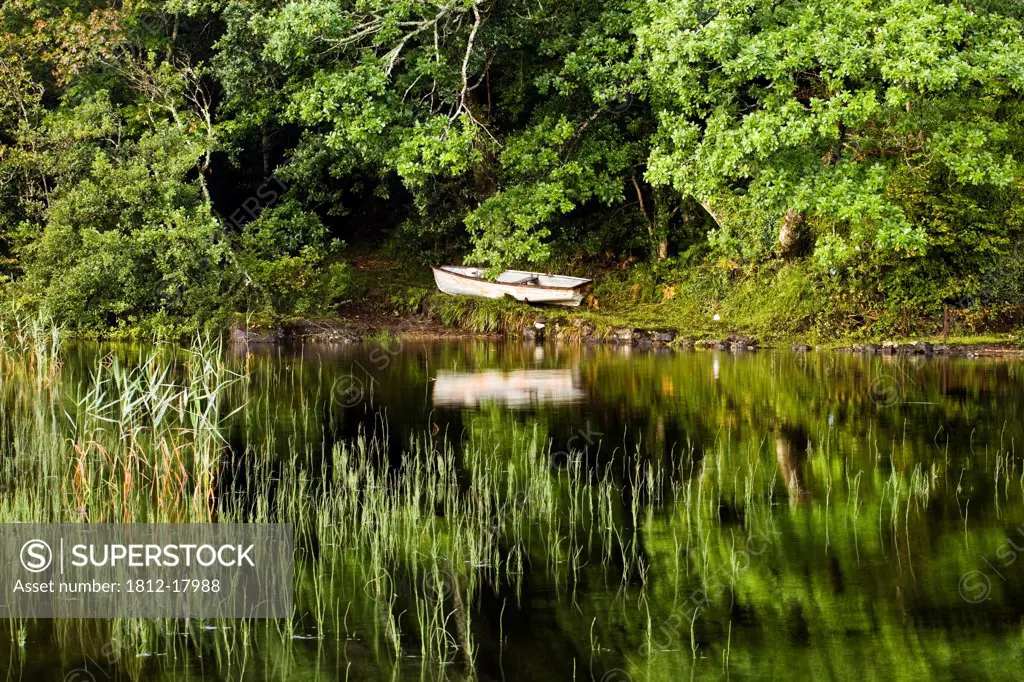Rowboat Moored On The Bank Of A Lake; Boat Along The Shore